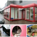 Gyvūnų prieglauda prie prekybos centro įkūrė „akvariumą“