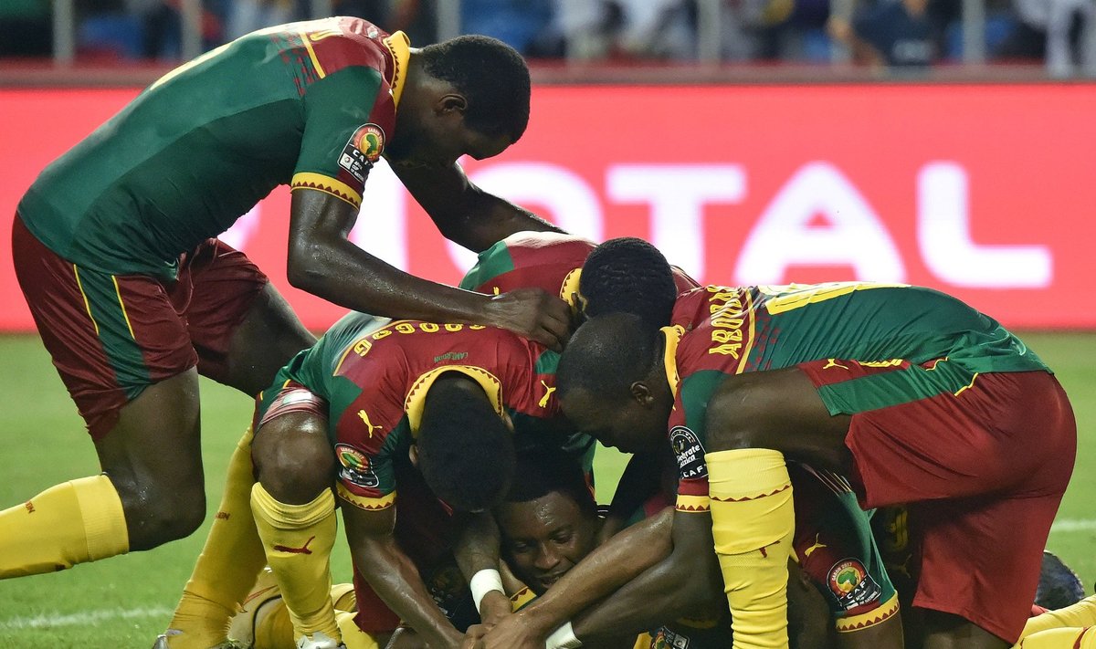 Afrikos Nacijų taurė, Kamerūno rinktinė džiaugiasi čempionų titulu