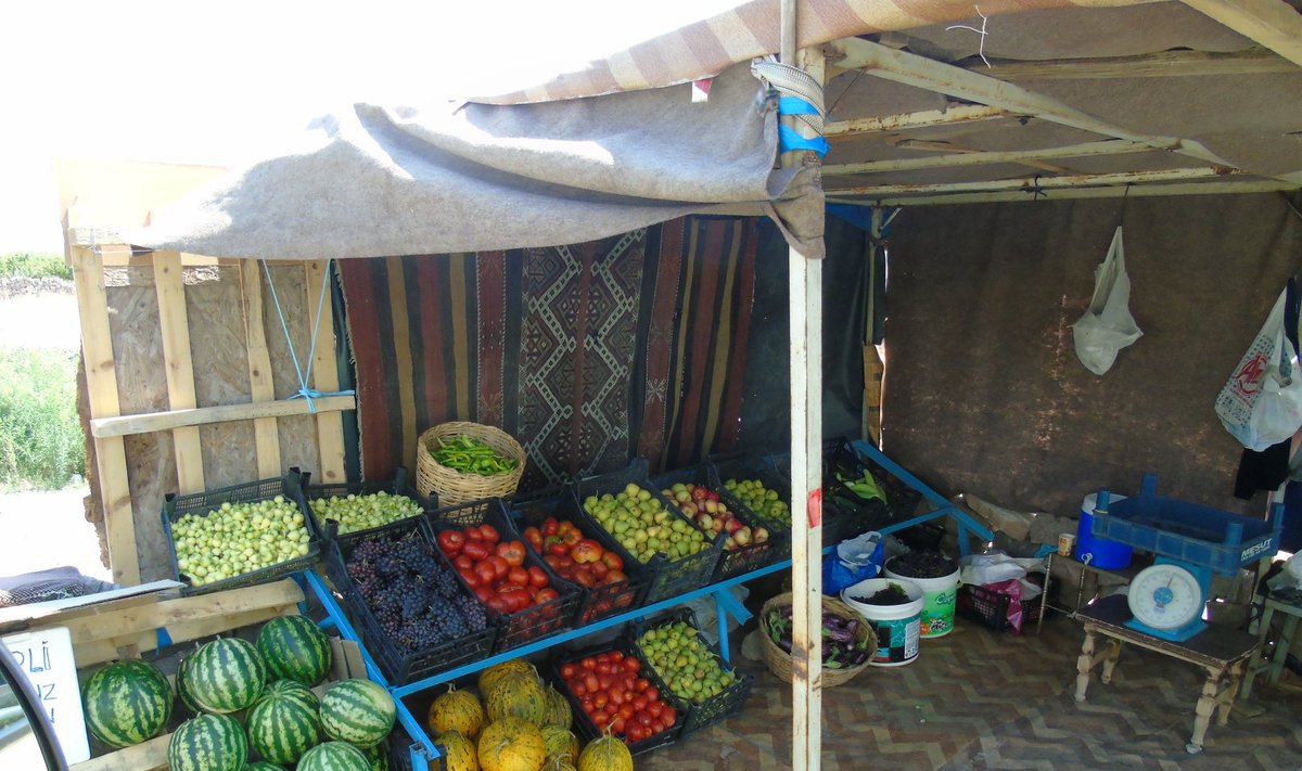 Vaisiai ir daržovės pakelėje. Rytų Turkija