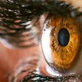 Grėsmingos akių ligos: tinklainės plyšimai ir atšokos