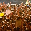 „Open Air“ festivalis į Kauną sugrąžins „G&G Sindikatą“, „Radistus“ ir stipriausius miesto didžėjus