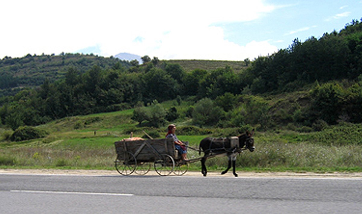 Bulgarijoje ir asilas - puiki transporto priemonė
