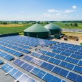 „Green Genius“ į pilotinį saulės elektrinių ir pramoninių baterijų integravimo projektą investuos 7,5 mln. eurų