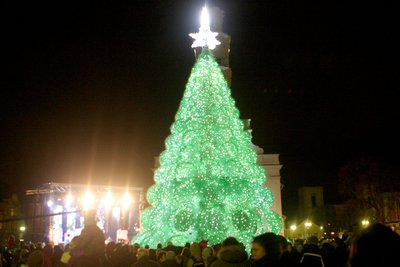 Kaune įžiebta Kalėdų eglutė 2011 m.