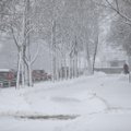 Pūga Lietuvoje įsisiautėjo: šimtai iškvietimų visoje šalyje, nepravažiuojami keliai