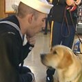 JAV kalėjime dresuoti šunys padeda karo veteranams