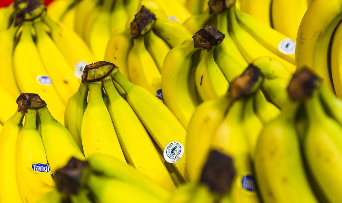 Lidl asortimente - Rainforest Alliance sertifikuoti bananai