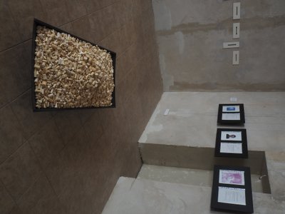 Antano Zabielavičiaus parodos „Pievų miltai“ fragmentas