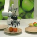 Sukurtas robotas, kurio ranka rūšiuoja ir dėlioja gležnus vaisius