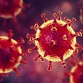 Dar vienas ginklas prieš COVID-19 be vakcinų: JAV leista naudoti naują „AstraZeneca“ antikūnų preparatą