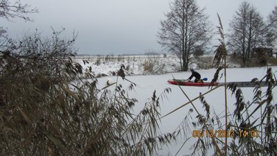 Gulbės gelbėjimas Matuizų tvenkinyje