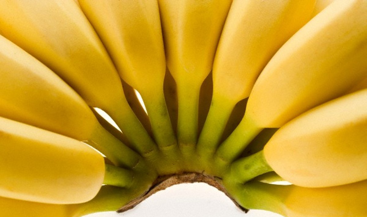 Bananai, vaisiai