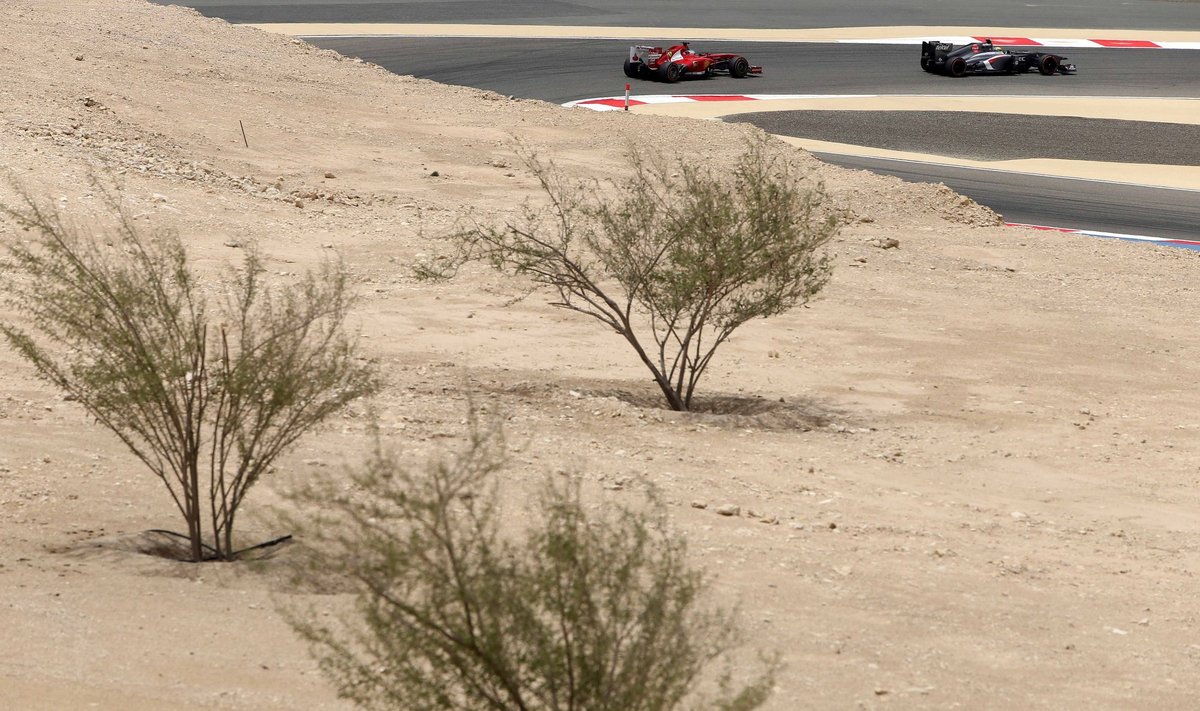 „Formulės-1“ treniruotės Bahreine