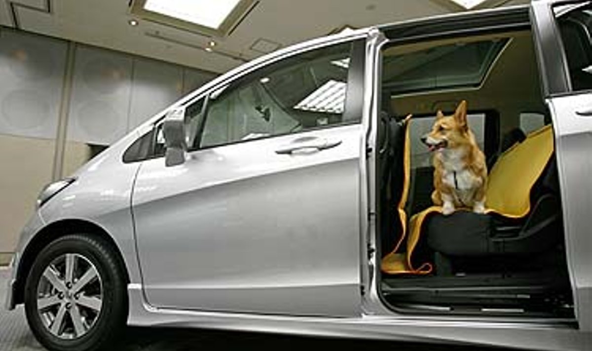 Šuo automobilyje „Honda“