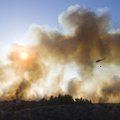 Šiemet Lietuvos miškuose užregistruoti 27 gaisrai