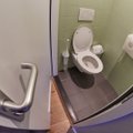 Lietuvių įpročius vadina necivilizuotais: pasižiūrėkite, kaip jie elgiasi užsienyje pamatę nemokamą tualetą