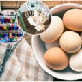 Kiaušinių dažymas su plakta grietinėle – paprasta ir greita, o stalą papuoš išskirtiniai margučiai
