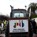 Литовские молочники будут протестовать в Брюсселе