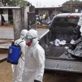 PSO: Ebolos aukų skaičius perkopė 4 000