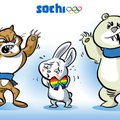 Россия использует критику Запада в отношении олимпиады в Сочи?