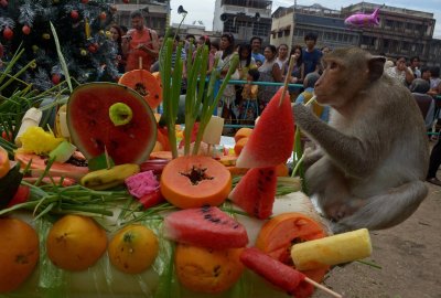 Beždžionių šėrimo festivalis 