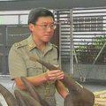 Honkongo muitinėje sulaikyta didžiulė raganosių ragų ir dramblio kaulo siunta