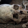 „Mokslo ekspresas“: tūkstantmečiai kapai atskleidžia Lietuvos priešistorės paslaptis