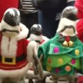 Pietų Korėjoje šventinę nuotaiką kuria pingvinai kalėdiniais kostiumais