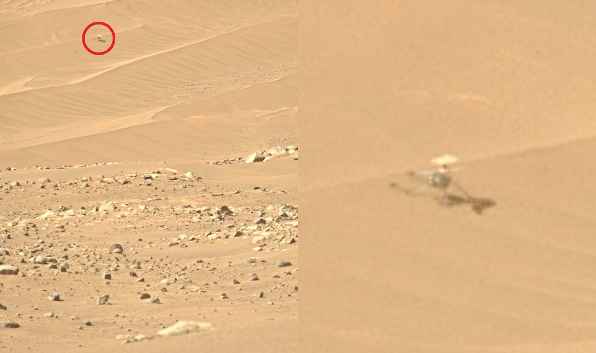 Marso sraigtasparnis Ingenuity. NASA/JPL-Caltech/ASU nuotr.