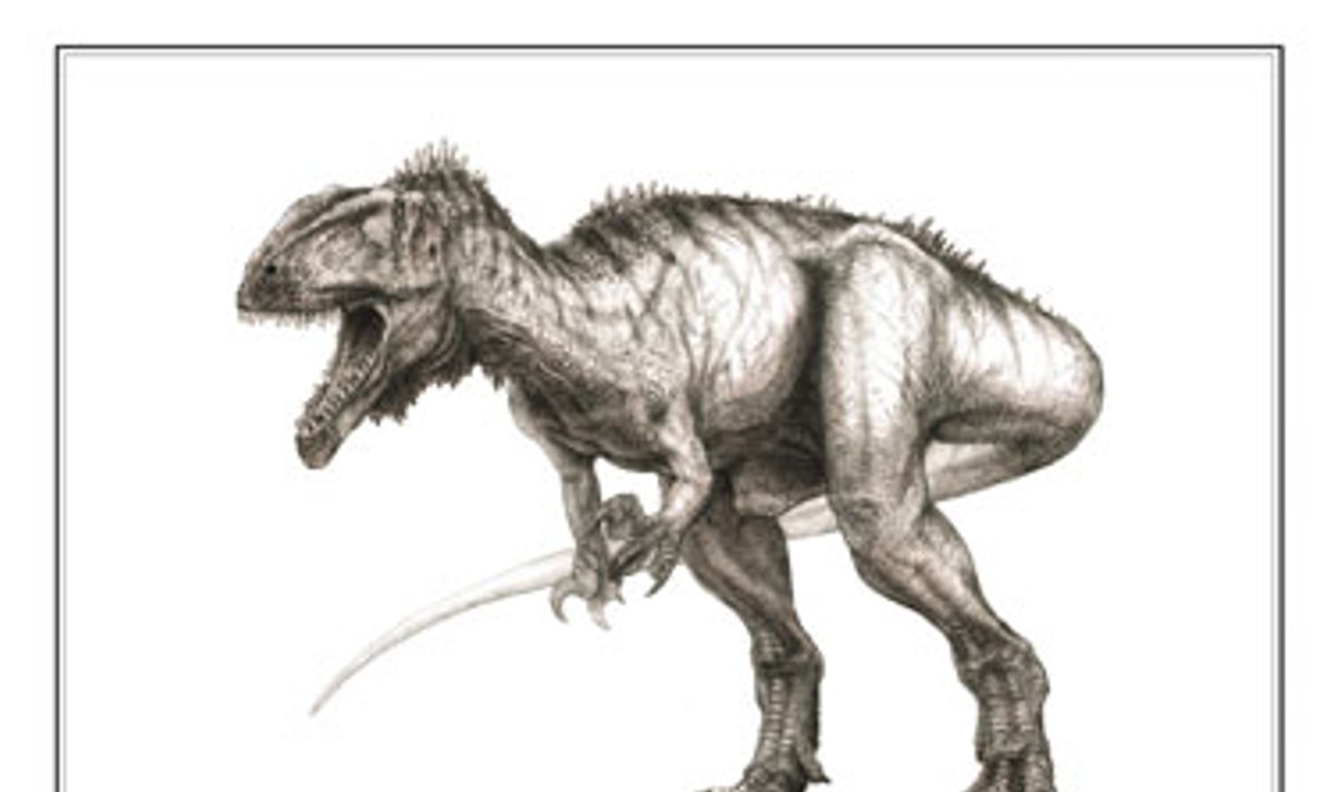 Dinozauro Eocarcharia dinops rekonstrukcija