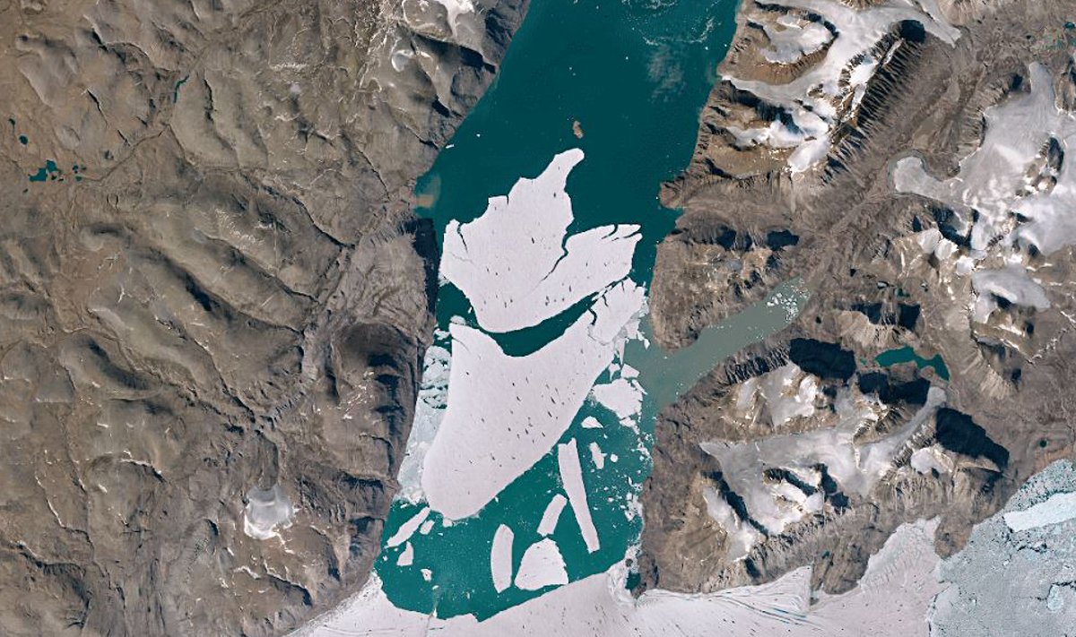 Tirpstantys Grenlandijos ledynai ir ledo šelfų griūtis.