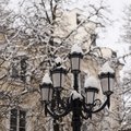 Late show of winter covers Vilnius in white