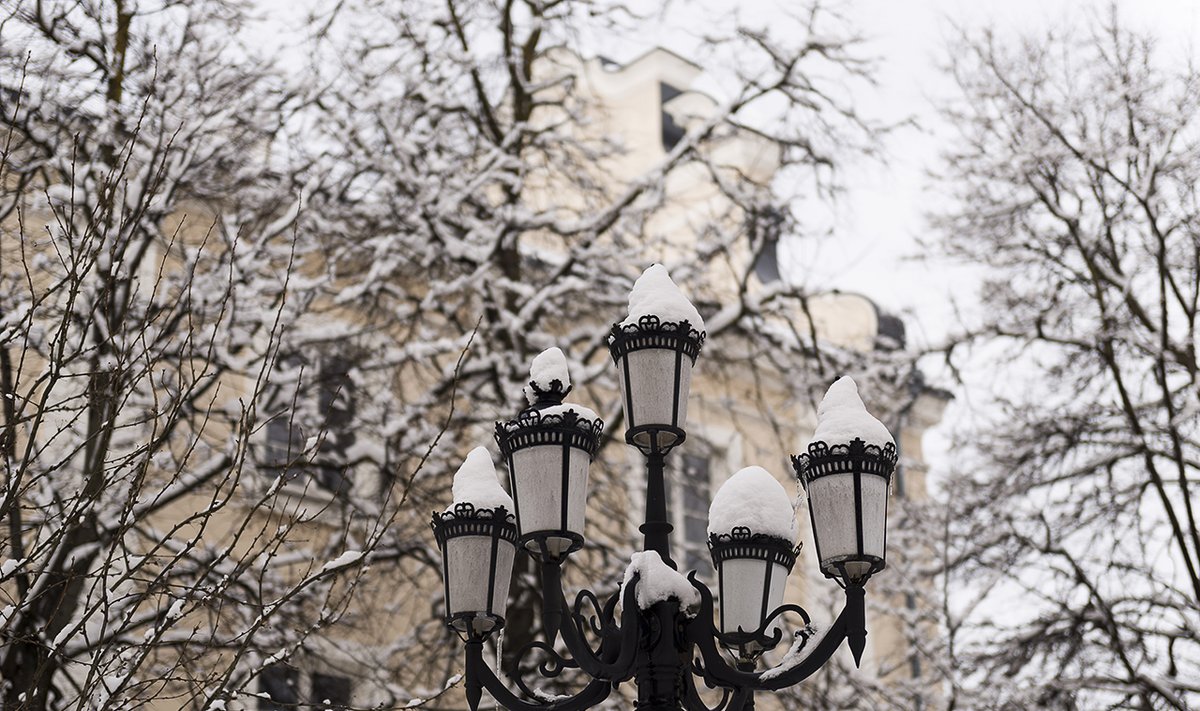 Spring Snow fall in Vilnius  © Ludo Segers @ The Lithuania Tribune