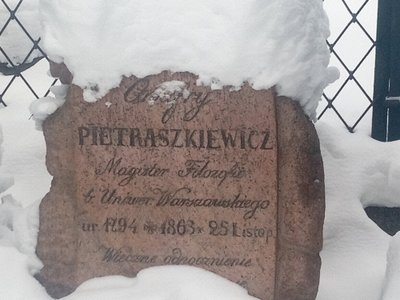 Anupro Petraškevičiaus kapas