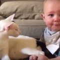 Sunku atsistebėti: katinas ir kūdikis tapo geriausiais draugais