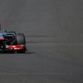 Japonijos GP penktadienio antrose treniruotės greičiausias buvo M.Webberis