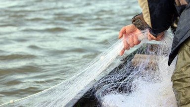 Ruošiami nauji draudimai žvejybai Kuršių mariose: kas keisis?