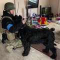 Apleistus namus tikrinę Ukrainos kariai išgelbėjo paliktą šunį: su gyvūnu užmezgė ypatingą ryšį