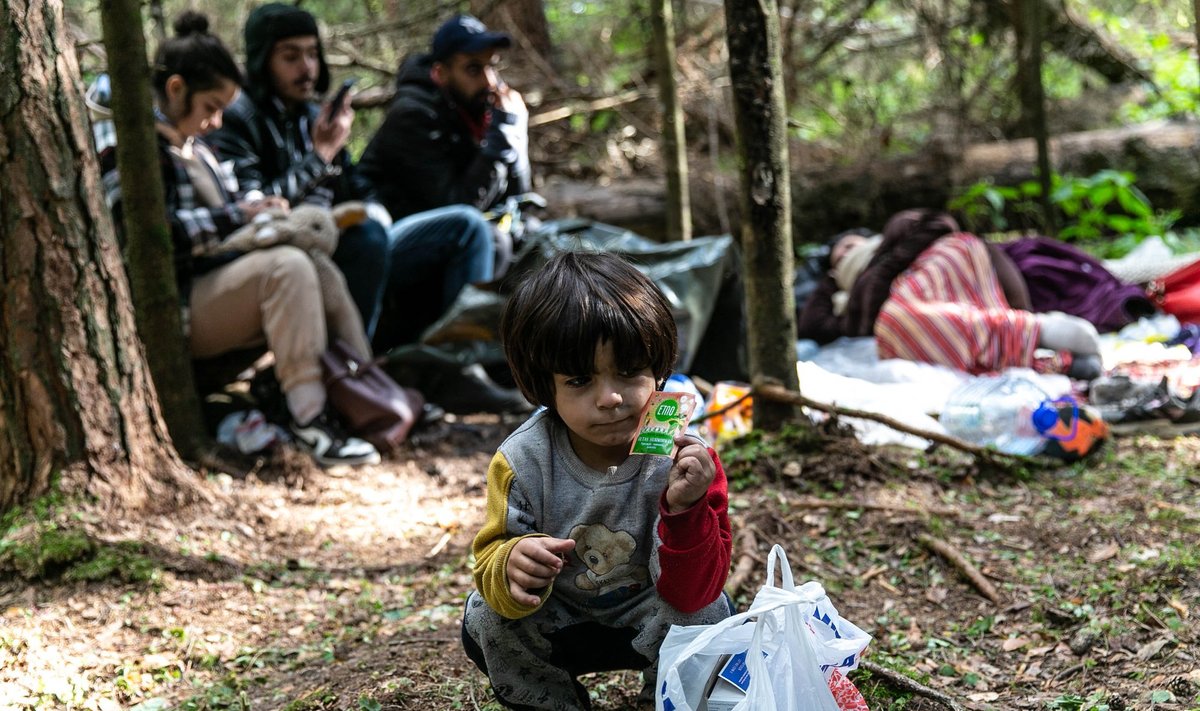 Ignalinos rajono miškuose sutikta migrantų šeima