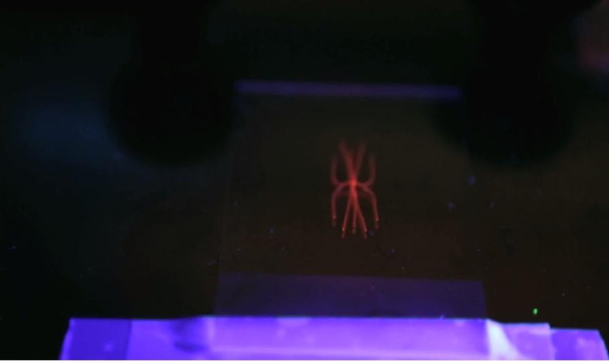 Kraujagyslės, pagamintos 3D spausdintuvu / vimeo.com