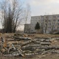 Vilniaus gyventojai pasipiktino iškirstais medžiais