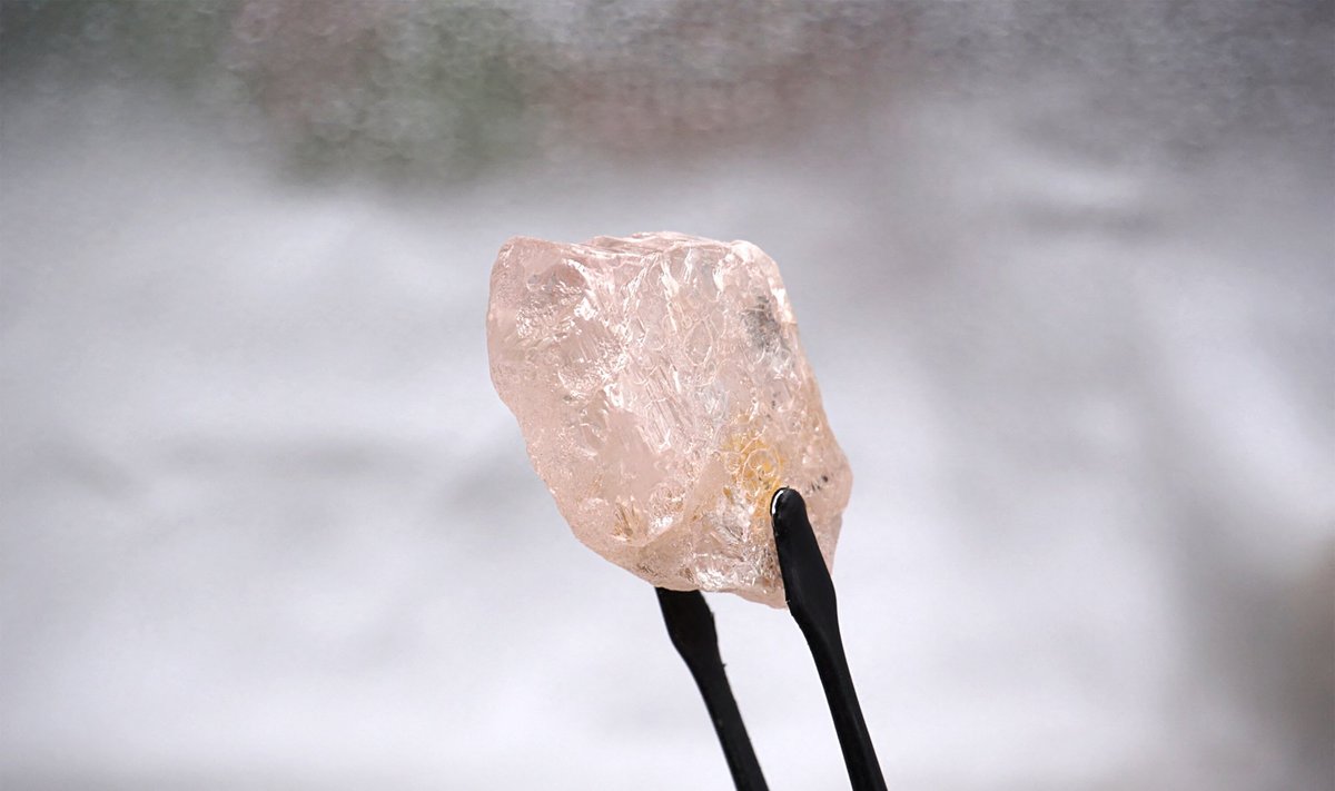 Lulo Rose 170 karatų deimantas, aptiktas Angoloje.