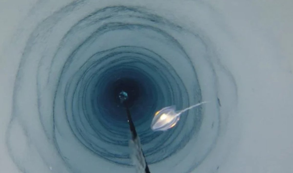 Po Antarkties ledu aptiktos tamsoje tarpstančios mįslingos gyvybės formos