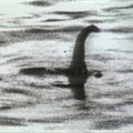 Mokslininkai spėja, kad Loch Neso pabaisa gali būti tik milžiniškas ungurys