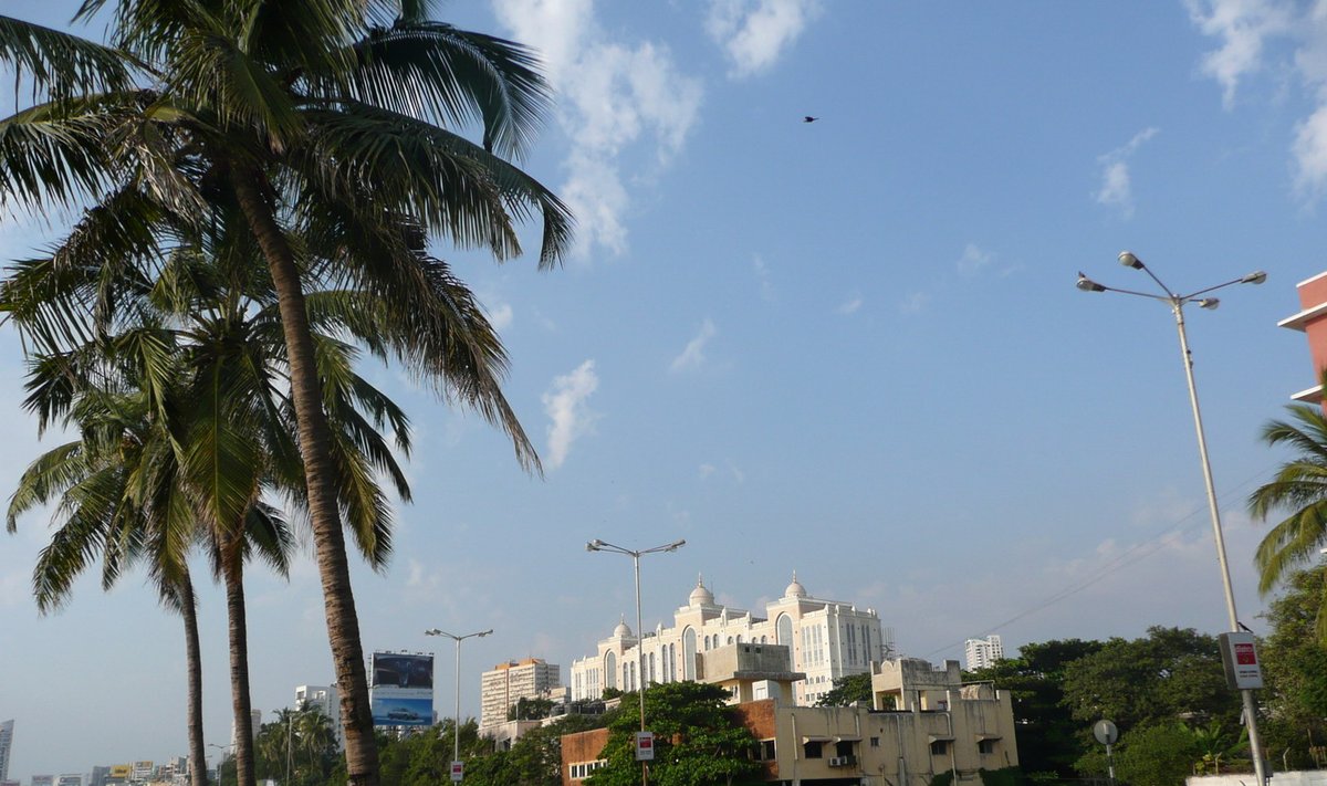 Turtingoji Mumbajaus dalis