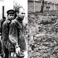 Žiaurumu pasižymėjusi belaisvių stovykla „Oflager 53”: šiandien protu sunku suvokti, kad šios baisybės vyko Lietuvoje
