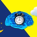 Mokslininkai pirmą kartą realiuoju laiku ištyrė cirkadinį laikrodį: padės suprasti, kaip laiko persukimas veikia žmogaus organizmą