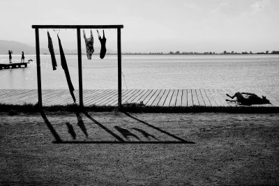 Ričardas Jarmalavičius "Mūsų vasaros laikas", 2019 IPPAWARDS