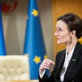Čmilytė-Nielsen tvirtina iš esmės baigusi kandidatų į žvalgybos kontrolierius paiešką