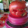 Klaipėdiečių sode užaugo daugiau kaip 1 kg sveriantis pomidoras